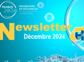 Newsletter Décembre 2024